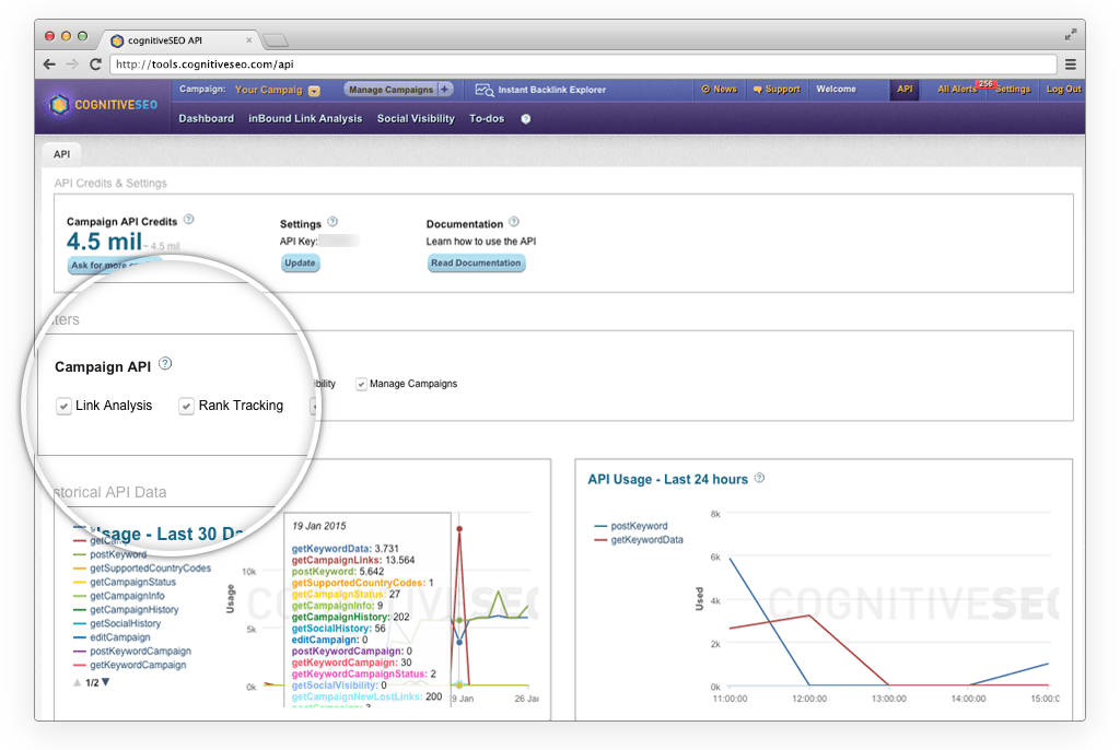 CognitiveSEO Review: API