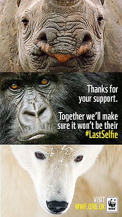WWF Last Selfie