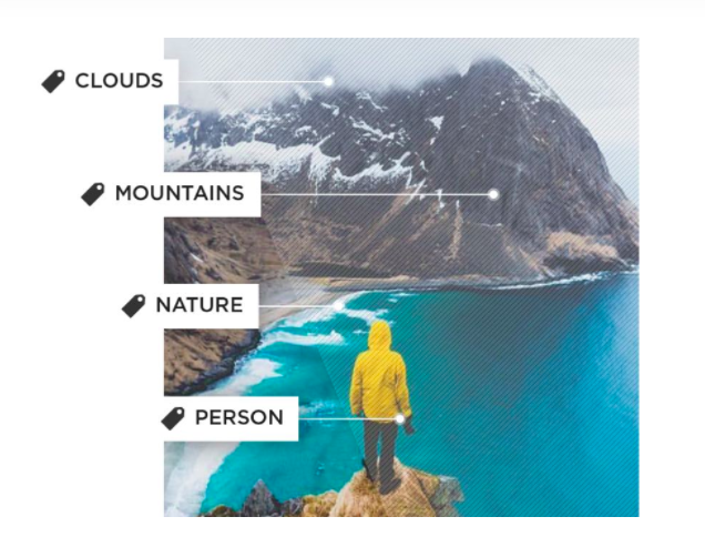 Stackla Visual Recognition