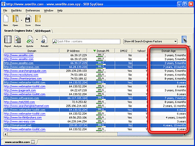 SEO Spyglass review: uncover domain age