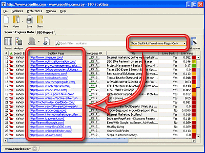 SEO Spyglass review: sort links by homepages
