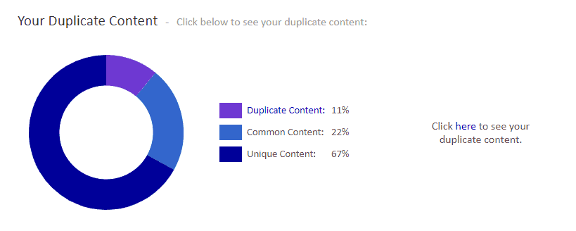 duplicate content report